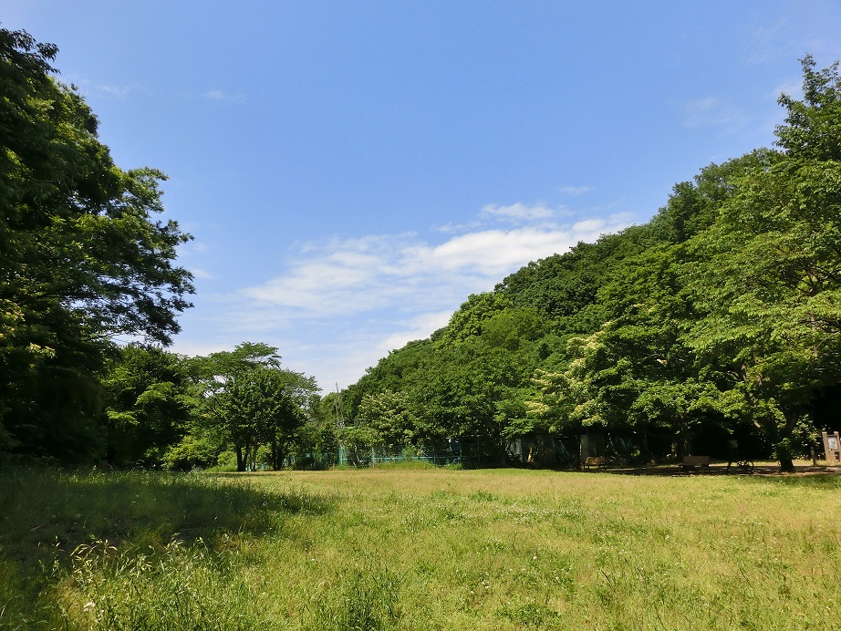 調布市野草園 深大寺自然広場 むさしの ガーデン紀行 調布市野草園 深大寺自然広場 むさしの ガーデン紀行